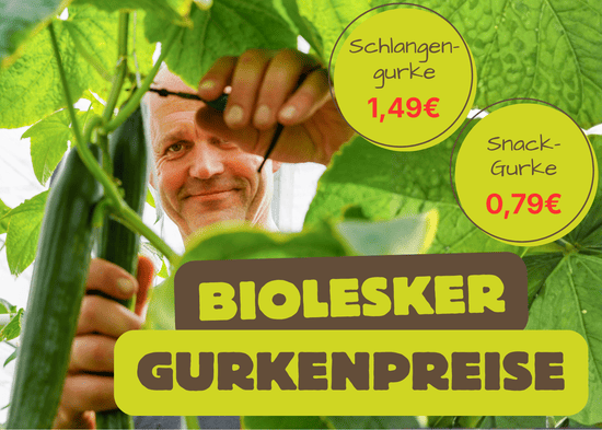 KI generiert: Das Bild zeigt mehrere bunte Saftflaschen auf einem Tisch, umgeben von verschiedenen Früchten wie Kiwis, Orangen und Himbeeren. Oben steht der Text "Die Kraft des Fastens".