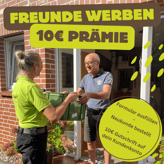 KI generiert: Das Bild zeigt eine Werbegrafik für Naturkosmetik mit verschiedenen Kosmetikflaschen und -gläsern sowie Pflanzenblättern. Der Text weist auf hochwertige und preiswerte Naturkosmetik hin.