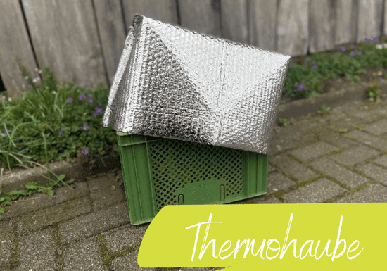 KI generiert: Das Bild zeigt eine grüne Kiste, die mit einer silbernen Thermohaube abgedeckt ist. Der Hintergrund besteht aus einem gepflasterten Boden und einer Holzwand.