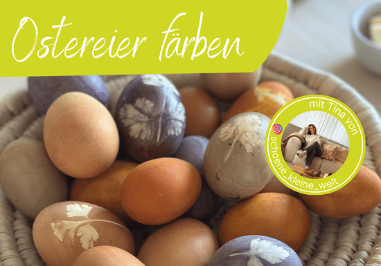 KI generiert: Das Bild zeigt mehrere bunte Saftflaschen auf einem Tisch, umgeben von verschiedenen Früchten wie Kiwis, Orangen und Himbeeren. Oben steht der Text "Die Kraft des Fastens".