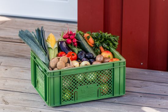 KI generiert: Das Bild zeigt eine grüne Plastikbox auf einer Holzfläche, gefüllt mit verschiedenen frischen Obst- und Gemüsesorten, darunter Lauch, Mais, Tomaten und Radieschen. Die leuchtenden Farben der Produkte kontrastieren mit der schlichten Umgebung.