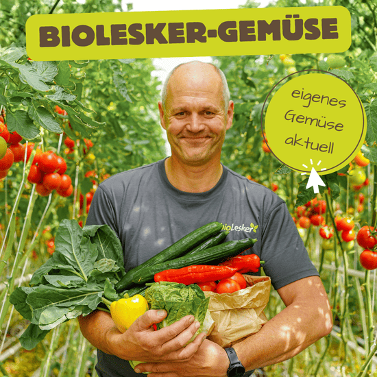 KI generiert: Das Bild zeigt eine Werbegrafik für Naturkosmetik mit verschiedenen Kosmetikflaschen und -gläsern sowie Pflanzenblättern. Der Text weist auf hochwertige und preiswerte Naturkosmetik hin.