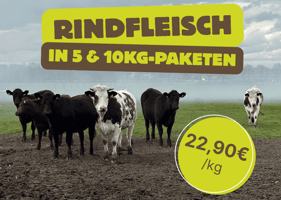 KI generiert: Das Bild zeigt mehrere bunte Saftflaschen auf einem Tisch, umgeben von verschiedenen Früchten wie Kiwis, Orangen und Himbeeren. Oben steht der Text "Die Kraft des Fastens".