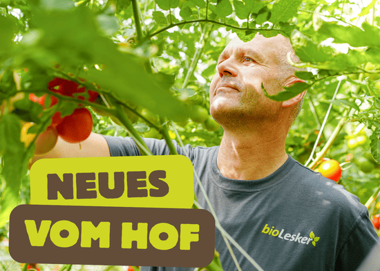 KI generiert: Das Bild zeigt einen Teller mit gebratenem Tofu, Tempeh und frischem Gemüse auf Salatblättern. Darüber steht der Schriftzug "Tofu und Tempeh".