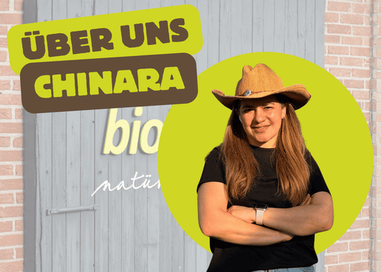 KI generiert: Das Bild zeigt einen Teller mit gebratenem Tofu, Tempeh und frischem Gemüse auf Salatblättern. Darüber steht der Schriftzug "Tofu und Tempeh".