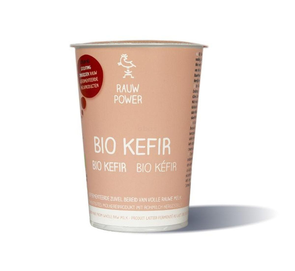 Produktfoto zu Rohmilch Kefir 500g