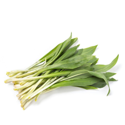 Produktfoto zu Bärlauch im Bund