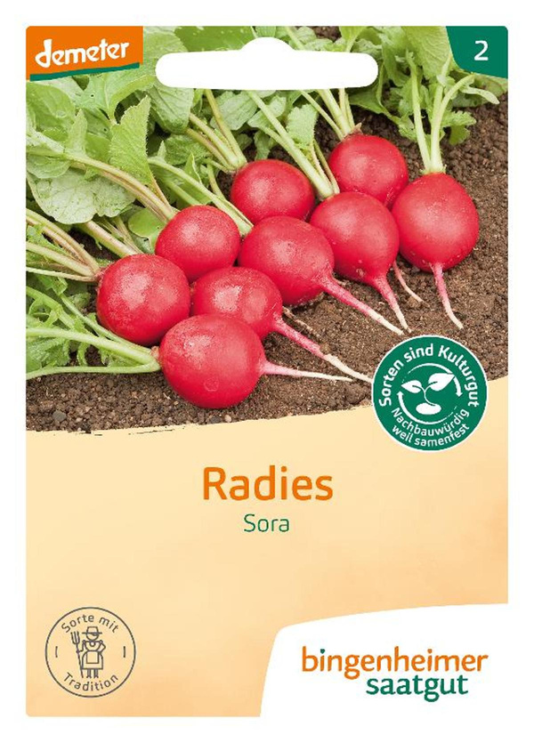 Produktfoto zu Saatgut Radies "Sora"