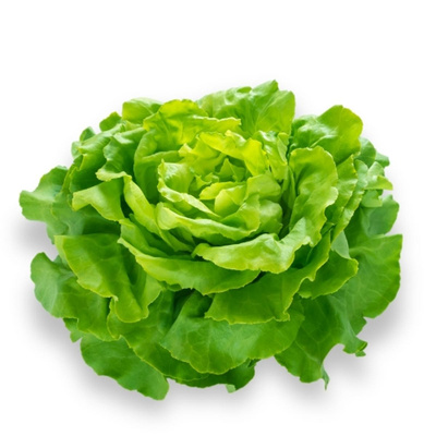 Produktfoto zu Kopfsalat