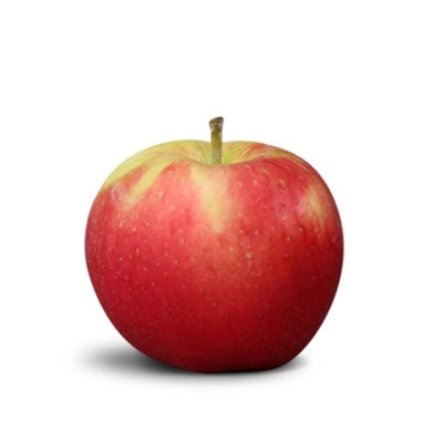 Produktfoto zu Apfel Santana, allergenarm