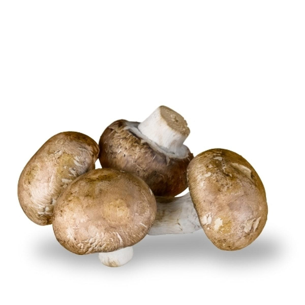 Produktfoto zu Steinchampignons braun
