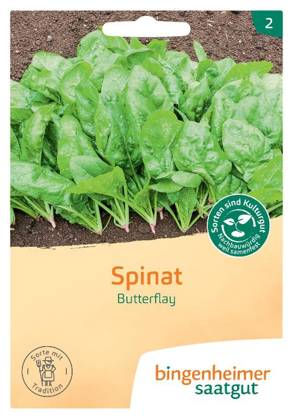 Produktfoto zu Saatgut Spinat "Butterflay"