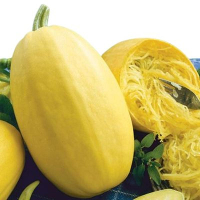 Produktfoto zu Spaghettikürbis Stripetti