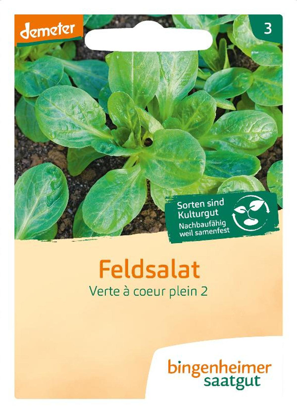 Produktfoto zu Saatgut Feldsalat "Verte à coeur plein 2"