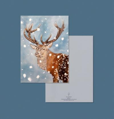 Produktfoto zu Postkarte Hirsch