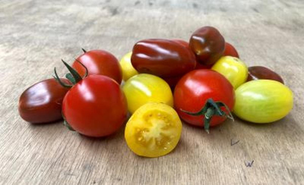Produktfoto zu Snacktomaten Mix