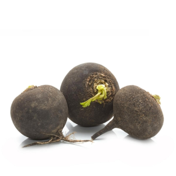 Produktfoto zu Rettich schwarz