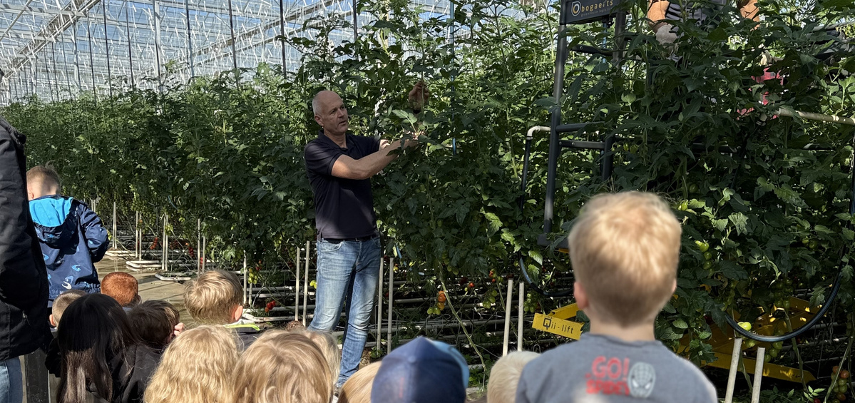 KI generiert: Eine Gruppe von Kindern hört einem Mann in einem Gewächshaus zu; er erklärt Tomatenpflanzen.