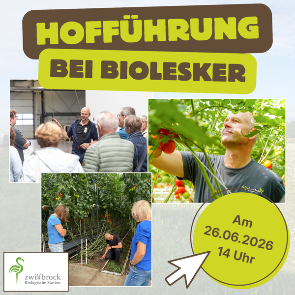KI generiert: Einladung zur Hofführung bei Biolesker am 26.06.2026, 14 Uhr.