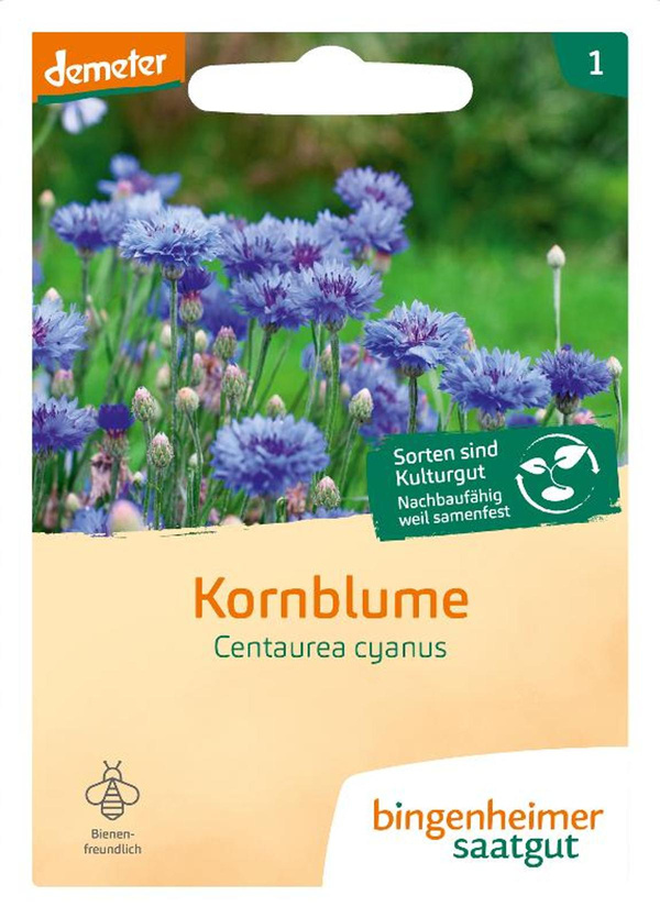 Produktfoto zu Saatgut Kornblume "Centaurea cyanus"