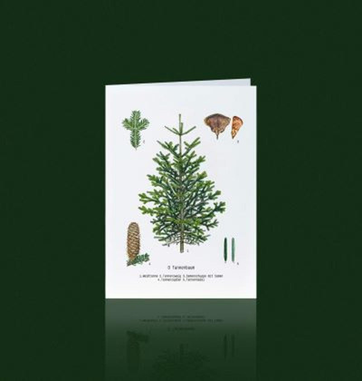 Produktfoto zu Grußkarte Weißtanne