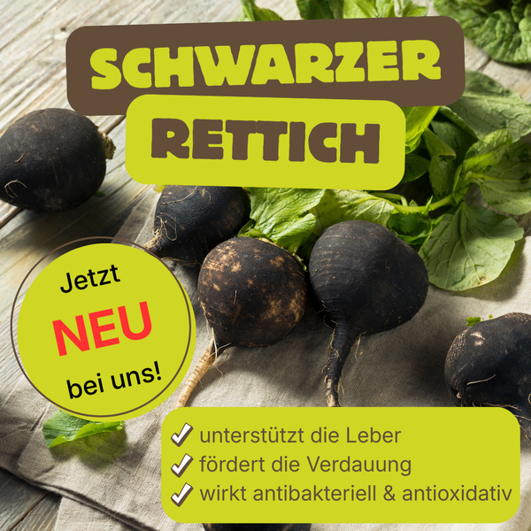 KI generiert: Schwarze Rettiche auf Stoff. Text: "SCHWARZER RETTICH - Jetzt NEU bei uns!" Plus gesundheitliche Vorteile.