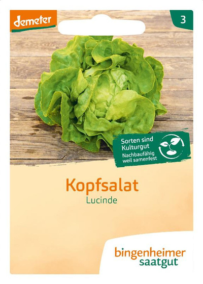 Produktfoto zu Saatgut Kopfsalat "Lucinde"