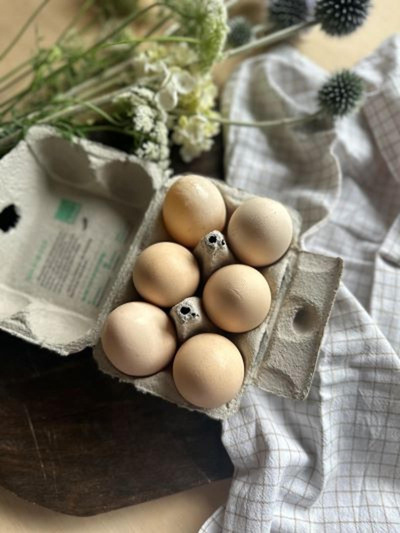 Produktfoto zu WeideEier 6 Stück