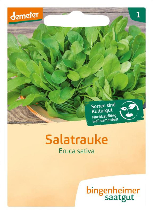 Produktfoto zu Saatgut Salatrauke "Eruca sativa"