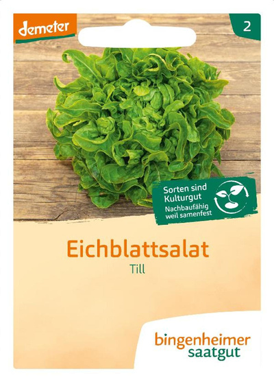 Produktfoto zu Saatgut Eichblattsalat "Till"