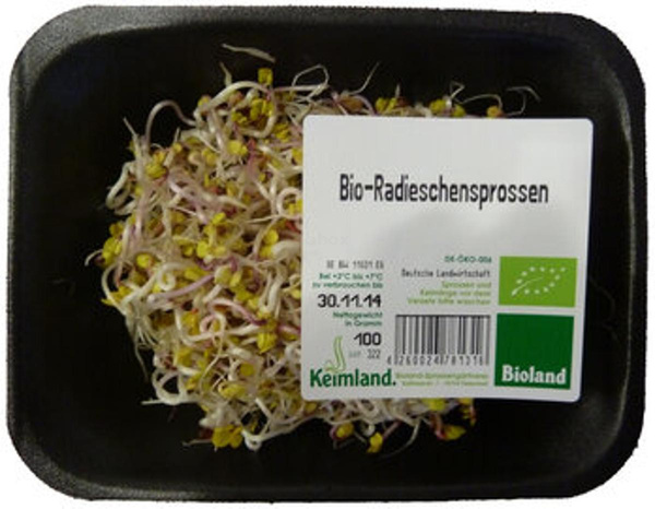 Produktfoto zu Radieschensprossen samenfest 100g