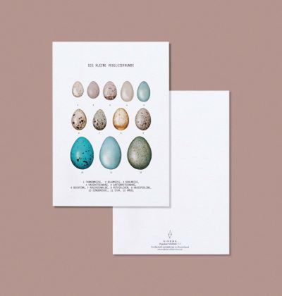 Produktfoto zu Postkarte Vogeleier