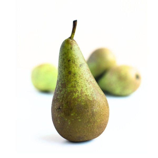 Produktfoto zu Birne Conference