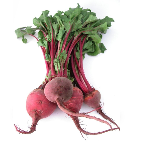 Produktfoto zu Rote Bete im Bund
