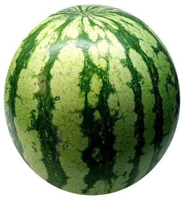 Produktfoto zu Wassermelone mini
