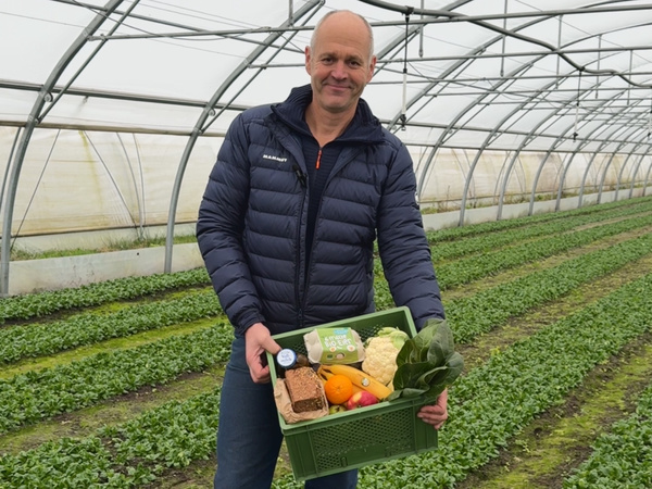 KI generiert: Ein Mann hält eine Kiste mit frischem Gemüse in einem Gewächshaus.