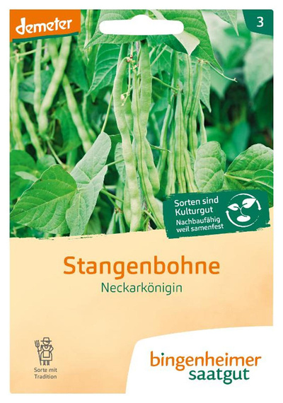 Produktfoto zu Saatgut Stangenbohne "Neckarkönigin"