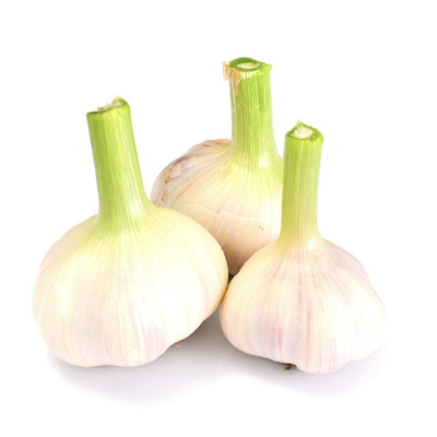Produktfoto zu Knoblauch frisch