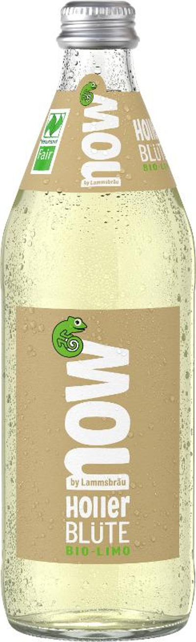 Produktfoto zu now Holler Blüte Kiste 10*0,5L
