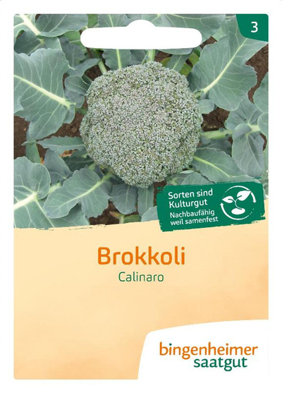 Produktfoto zu Saatgut Brokkoli "Calinaro"