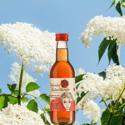 Produktfoto zu Holunderblüte & Rhababer Sirup