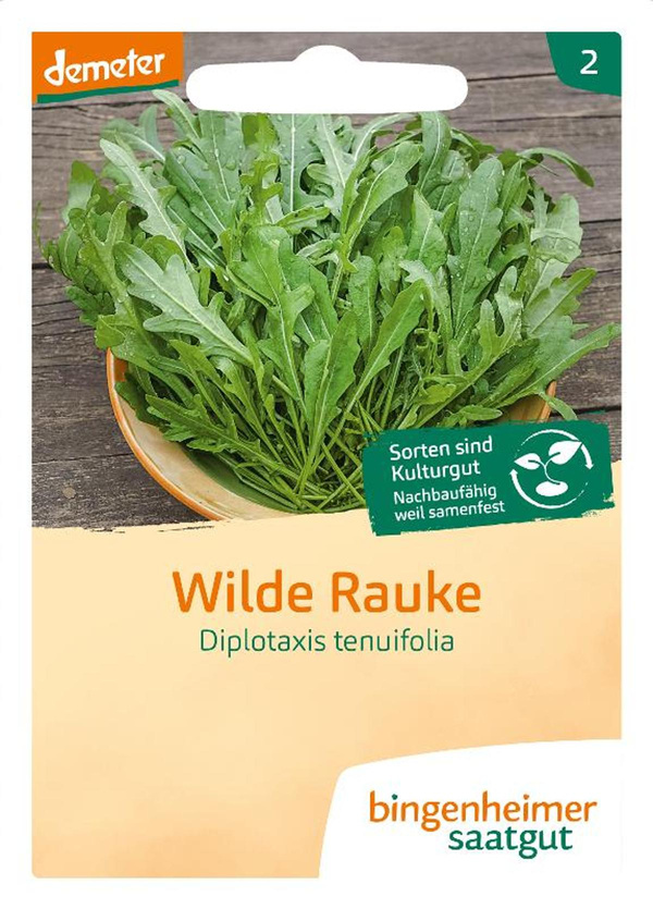 Produktfoto zu Saatgut Rucola Wilde Rauke