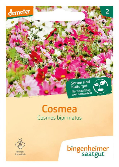 Produktfoto zu Saatgut Cosmea Schmuckkörbchen