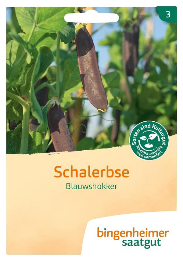 Produktfoto zu Saatgut blaue Schalerbse "Blauwshokker"