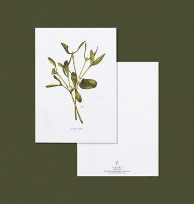 Produktfoto zu Postkarte Mistelzweig