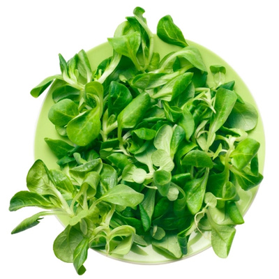 Produktfoto zu Feldsalat