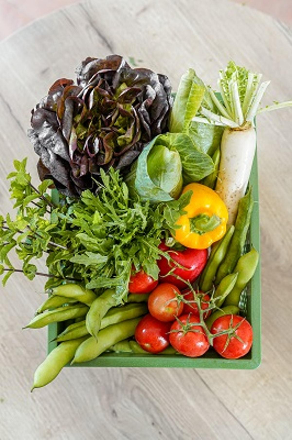 Rohkost Gemüse zu 12,50 EUR