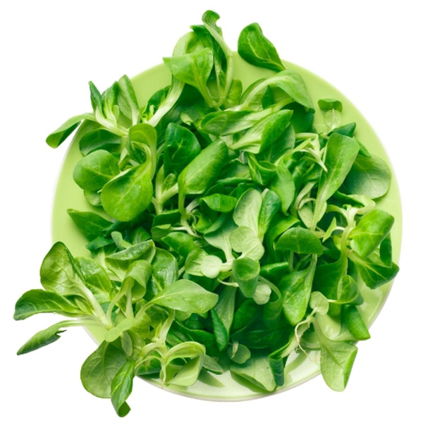 Produktfoto zu Feldsalat