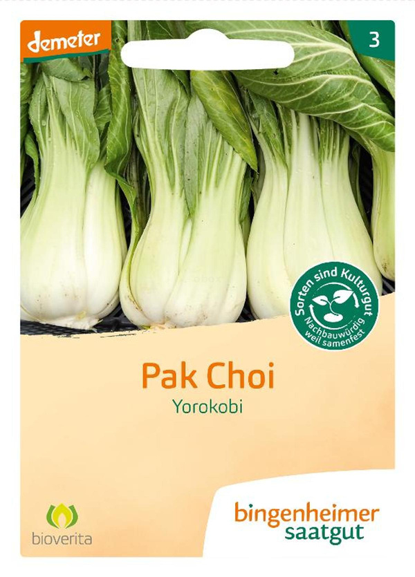 Produktfoto zu Saatgut Pak Choi Kohl Yorokobi