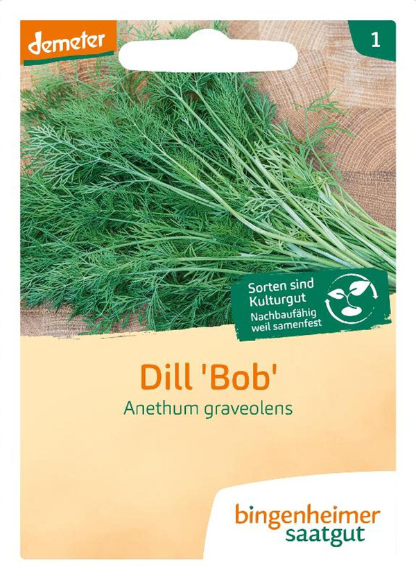 Produktfoto zu Saatgut Dill "Anethum graveolens"